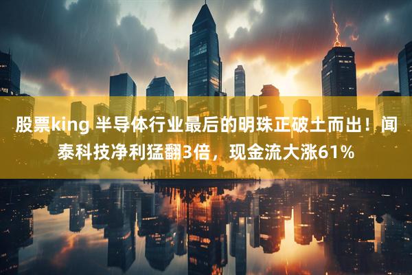 股票king 半导体行业最后的明珠正破土而出！闻泰科技净利猛翻3倍，现金流大涨61%