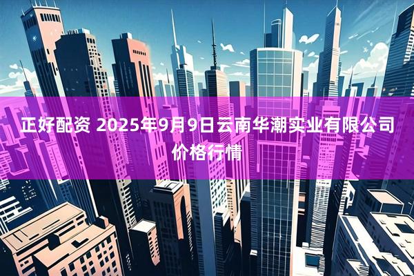 正好配资 2025年9月9日云南华潮实业有限公司价格行情