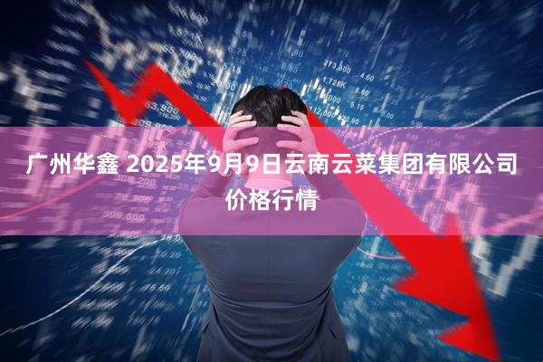 广州华鑫 2025年9月9日云南云菜集团有限公司价格行情
