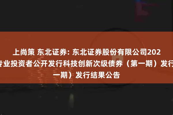 上尚策 东北证券: 东北证券股份有限公司2025年面向专业投资者公开发行科技创新次级债券（第一期）发行结果公告
